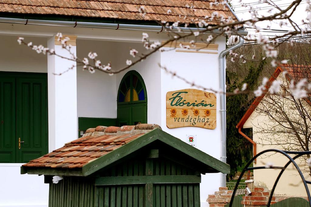 Florian Vendeghaz Pension Villánykövesd Buitenkant foto