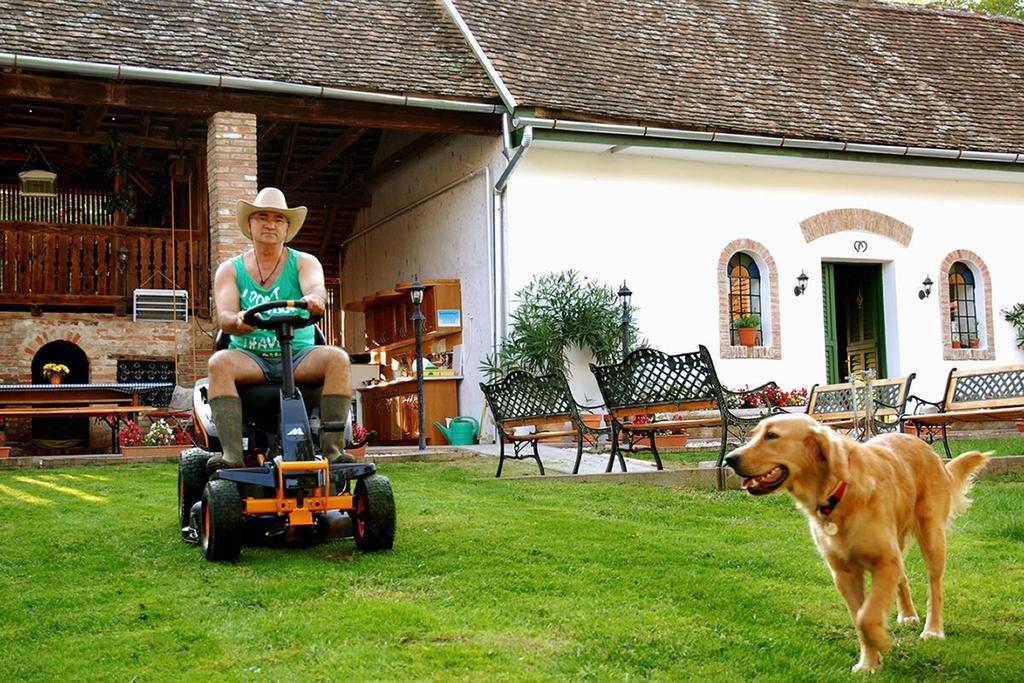 Florian Vendeghaz Pension Villánykövesd Buitenkant foto