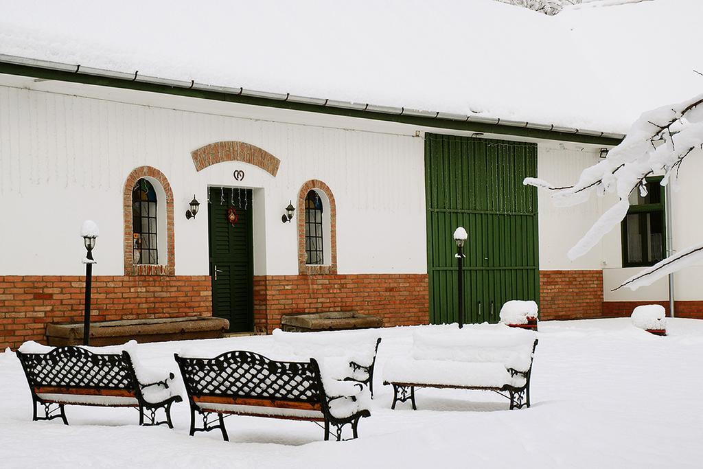 Florian Vendeghaz Pension Villánykövesd Buitenkant foto